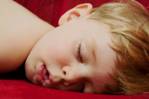 iStock_000039529404Small